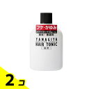 【送料無料!(地域限定)】柳屋 薬用ヘアトニック フケ・かゆみ用 240mL 2個セット