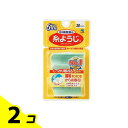 【送料無料!(地域限定)】小林製薬 糸ようじ 6本糸 30本入 2個セット