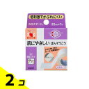 【送料無料!(地域限定)】ニチバン スキナゲート 低刺激 広幅タイプ SG257 幅25mm× 7m 2個セット