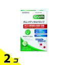 【送料無料!(地域限定)】GUM ガム・メディカルドロップ ハーブミント味 24粒 2個セット