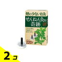 【送料無料!(地域限定)】せんねん灸の奇跡 レギュラー 220点入 2個セット