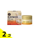 【送料無料!(地域限定)】50の恵 朝の紫外線対策クリーム 90g 2個セット