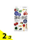 【送料無料!(地域限定)】イースト×エンザイム ダイエット 酵素×酵母 30回分 60粒 2個セット