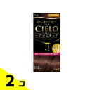 【送料無料!(地域限定)】CIELO(シエロ) オイルインヘアマニキュア シャイニーブラウン 1個 2個セット