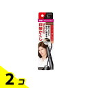 【送料無料!(地域限定)】サロンドプロ カラーオンリタッチ 白髪かくしEX ナチュラルブラウン 15mL 2個セット