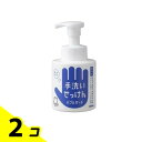 【送料無料!(地域限定)】シャボン玉 手洗いせっけん バブルガード 300mL (ポンプ) 2個セット