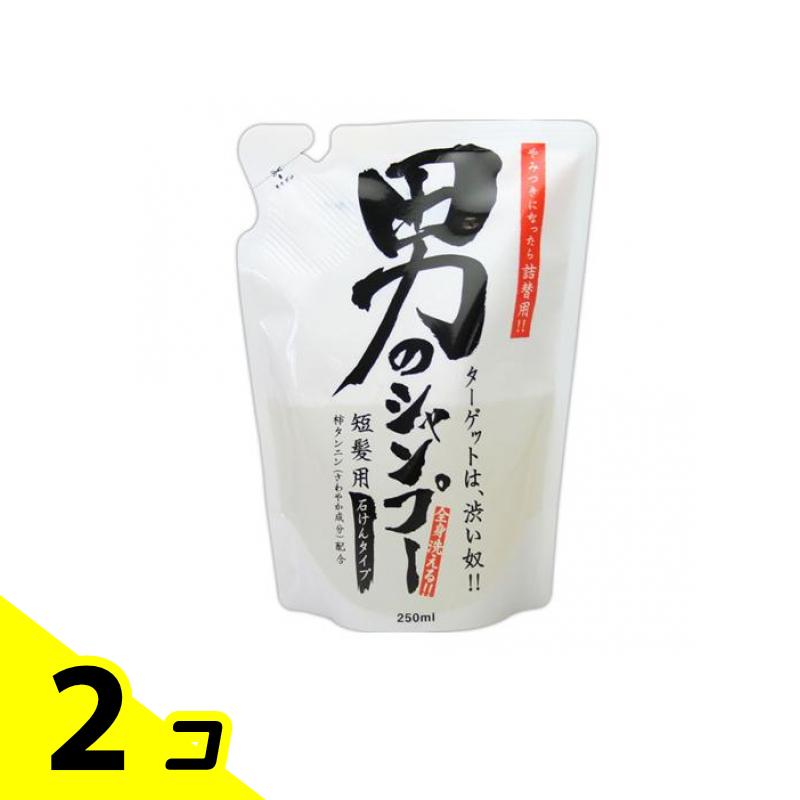 【送料無料！（地域限定）】ちのしお 男のシャンプー 250mL (詰め替え用) 2個セット