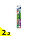 【送料無料!(地域限定)】生葉(しょうよう) 45°磨きブラシ レギュラーヘッド ふつう 1本 (ふつう) 2個セット