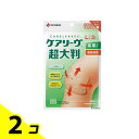 【送料無料!(地域限定)】ケアリーヴ 超大判 素肌タイプ 関節部用 Lサイズ 3枚入 (CLCHO3L) 2個セット