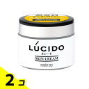 【送料無料!(地域限定)】LUCIDO(ルシード) スキンクリーム 48g 2個セット