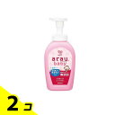 【送料無料!(地域限定)】arau.baby(アラウ.ベビー) 泡ほ乳びん食器洗い 本体 500mL 2個セット
