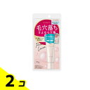 【送料無料!(地域限定)】ポイントマジックPRO(プロ) ポアカバーC ヌーディタイプ 15g 2個セット