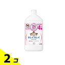 【送料無料!(地域限定)】キレイキレイ薬用泡ハンドソープ シトラスフルーティの香り 詰め替え用 特大サイズ 800mL 2個セット