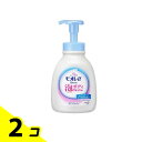 【送料無料!(地域限定)】ビオレu 泡で出てくるボディウォッシュ やさしいフレッシュフローラルの香り(微香性) 600mL (ポンプ) 2個セット