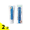 【送料無料!(地域限定)】テルモ オーラルジェル 70g 2個セット