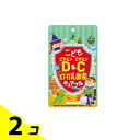【送料無料!(地域限定)】こどもビタミンD&ビタミンC KT-11乳酸菌チュアブル 30粒 2個セット