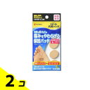 【送料無料!(地域限定)】スピール 抗菌パッド 8枚 (うおの目用 L) 2個セット