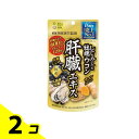 【送料無料!(地域限定)】井藤漢方製薬 しじみの入った牡蠣ウコン肝臓エキス 120粒 (20〜40日分) 2個セット
