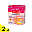 【送料無料!(地域限定)】めぐりズム 蒸気の温熱シート 下着の内側面に貼るタイプ 5枚 2個セット