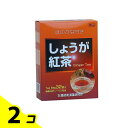 【送料無料!(地域限定)】黒姫和漢薬研究所 しょうが紅茶 32袋 2個セット