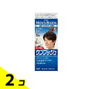 【送料無料!(地域限定)】メンズビゲン ワンプッシュ 5 ナチュラルブラウン 1個 2個セット