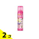 【送料無料!(地域限定)】ライオン エレガード 静電気防止スプレー 160mL (大サイズ) 2個セット