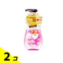 【送料無料!(地域限定)】ソフティモ クレンジングフォーム ハニーマイルド 本体ポンプ 200mL 2個セット