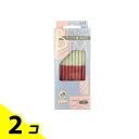 【送料無料!(地域限定)】貝印 ビューティーM(SM) 顔・まゆそり用カミソリ 10本入 2個セット