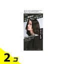 【送料無料!(地域限定)】ビューティーン トーンダウンカラー ナチュラルブラック 1個 2個セット