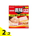 【送料無料!(地域限定)】久光製薬 温熱用具 直貼 肩・首用 6枚 (Sサイズ) 2個セット