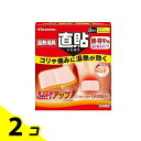 【送料無料!(地域限定)】久光製薬 温熱用具 直貼 腰・背中用 8枚 (Mサイズ) 2個セット