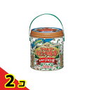 【送料無料!(地域限定)】フマキラー 蚊とり線香本練り ジャンボ 50巻入 (缶入) 2個セット
