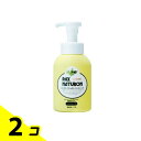 【送料無料!(地域限定)】パックスナチュロン ハンドソープ 260mL 2個セット