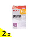 【送料無料!(地域限定)】ピジョン 母乳実感 乳首 6ヵ月頃から Lサイズ(Y字形) 2個入 2個セット