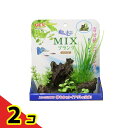 【送料無料!(地域限定)】GEX 癒し水景 MIXプランツ ロック 1個入 (茶) 2個セット