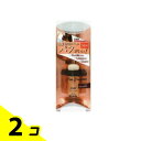 【送料無料!(地域限定)】スーパーミリオンヘアー ヘアファンデーション スティックタイプ ダークブラウン 3g 2個セット