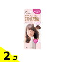 【送料無料!(地域限定)】LUCIDO-L(ルシードエル) #髪のベタつきリセットスプレー 70g 2個セット