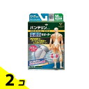 【送料無料!(地域限定)】バンテリンコーワ高通気サポーター ひざ専用 ふつうMサイズ 1枚入 (シルバーグレー) 2個セット
