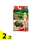 【送料無料!(地域限定)】バンテリンコーワ保温サポーター ひじ専用 1枚入 (大きめLサイズ) 2個セット