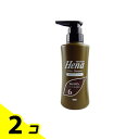 【送料無料!(地域限定)】テンスター カラーシャンプー ブラウン 300mL 2個セット