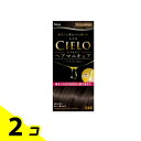 【送料無料!(地域限定)】CIELO(シエロ) オイルインヘアマニキュア アッシュブラウン 1個 2個セット