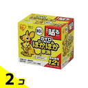 【送料無料!(地域限定)】ポカポカ家族 貼る レギュラー PKN-30HR 30個 2個セット