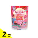 【送料無料!(地域限定)】ケンユー 温活女子のからだケア ちょいぬくジェルカイロ 1個入 2個セット