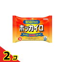 【送料無料!(地域限定)】ホッカイロ 貼らないタイプ レギュラー 10個入 2個セット