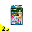 【送料無料!(地域限定)】バンテリンコーワ高通気サポーター ひざ専用 大きめLサイズ 1枚入 (シルバーグレー) 2個セット(4)