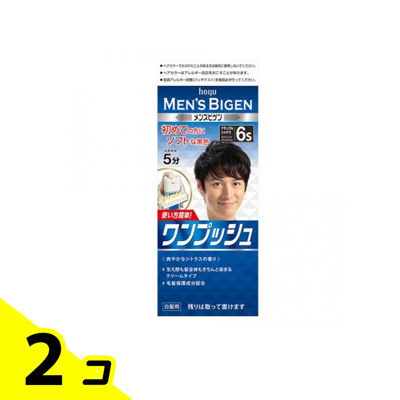 【送料無料！（地域限定）】メンズビゲン ワンプッシュ 6S ナチュラルシャドウ 1個 2個セット