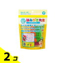 【送料無料!(地域限定)】はみがき先生 キッズ用Y字フロス 30本入 2個セット