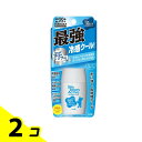 【送料無料!(地域限定)】サンベアーズ アクティブプロテクトクール 30g 2個セット