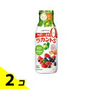 【送料無料!(地域限定)】サラヤ 甘味料 ラカントS シロップP 280g 2個セット