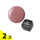 【送料無料!(地域限定)】KOKOIST(ココイスト) カラージェル E-175S ボイセンベリーキャンディ 2.5g 2個セット